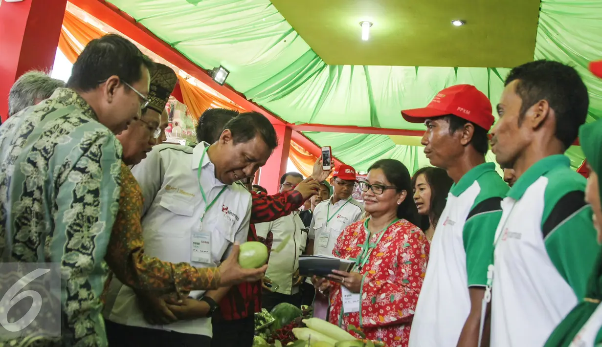 Pengembangan DMPA di 500 desa, bertujuan untuk mencegah kebakaran lahan dan meningkatkan kesejahteraan masyarakat setempat Kabupaten Siak, Riau (22/7). (Liputan6.com/Faizal Fanani)