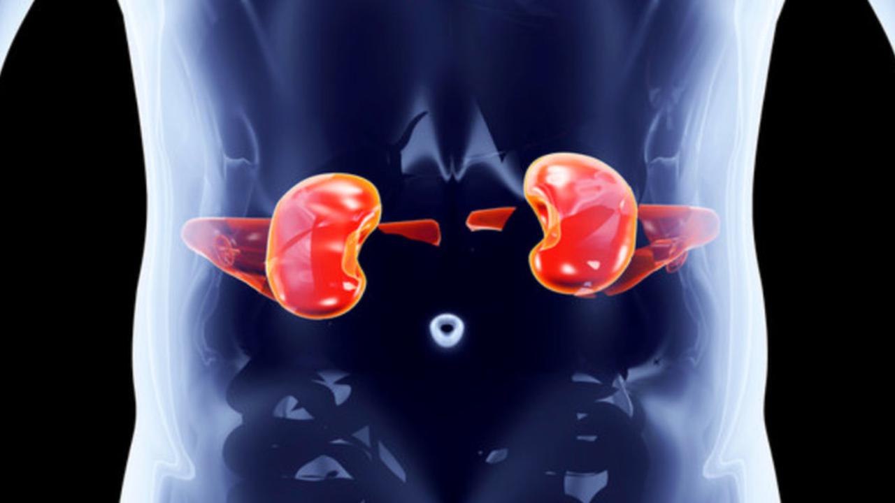 Penyakit Addison: Mengatasi Insufisiensi Adrenal Melalui Diagnosis dan Perawatan yang Efektif