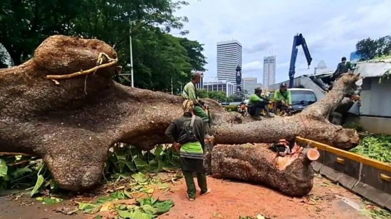 Pramono Anung Ungkap Upaya Antisipasi Cuaca Ekstrem Jakarta: Perapian Pohon hingga Kesiapan Pompa Hadapi Rob