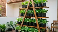 7 Model Rak Kebun Vertikal Sederhana dari Ember dan Bambu, Solusi Lahan Terbatas