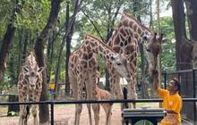 Libur Paskah, Ragunan Prediksi 30.000 Wisatawan Kunjungi Taman Margasatwa