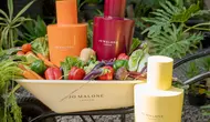 Parfum Beraroma Sayur Jadi Tren Baru, Ada Wangi Beetroot hingga Butternut