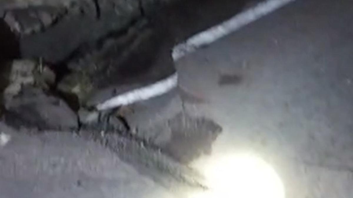 Nabire Diguncang 50 Kali Gempa Susulan, Terbesar Magnitudo 5,3