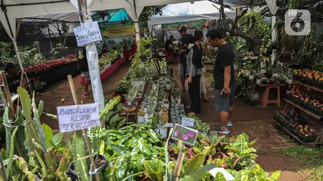 Mengunjungi Pameran Tanaman di Lapangan Banteng