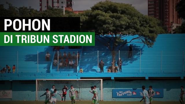 Berita video pohon yang dibiarkan berada di tengah tribun stadion sepak bola di Paraguay. Tribun itu terdapat di stadion Tomas Beggan Correa