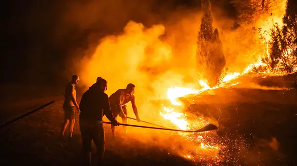 Kebakaran Hutan Melanda Serbia Saat Gelombang Panas Menerpa Eropa