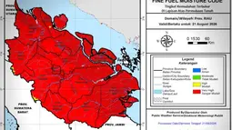 1.104 Titik Panas Kebakaran Hutan Terdeteksi di Sumatera, Sumsel Tertinggi