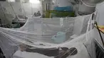 Seorang anak yang menderita demam berdarah, penyakit yang ditularkan oleh nyamuk, dirawat di bangsal isolasi, di sebuah rumah sakit di Lahore, Pakistan, Jumat (23/9/2022). Pakistan telah mengerahkan ribuan dokter dan paramedis tambahan di provinsi yang paling parah dilanda banjir di negara itu untuk menahan penyebaran penyakit yang telah menewaskan lebih dari 300 orang di antara para korban banjir, kata para pejabat. (AP Photo/K.M. Chaudary)