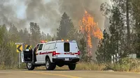 Pohon terbakar saat Kapten Pemadam Kebakaran Cal bekerja di dekat persimpangan Whispering Pines Lane dan Centennial Drive di Grass Valley, California (25/8/2021). Kebakaran hutan telah membara selama seminggu di California Utara terus membesar tak terkendali. (Elias Funez/The Union via AP)