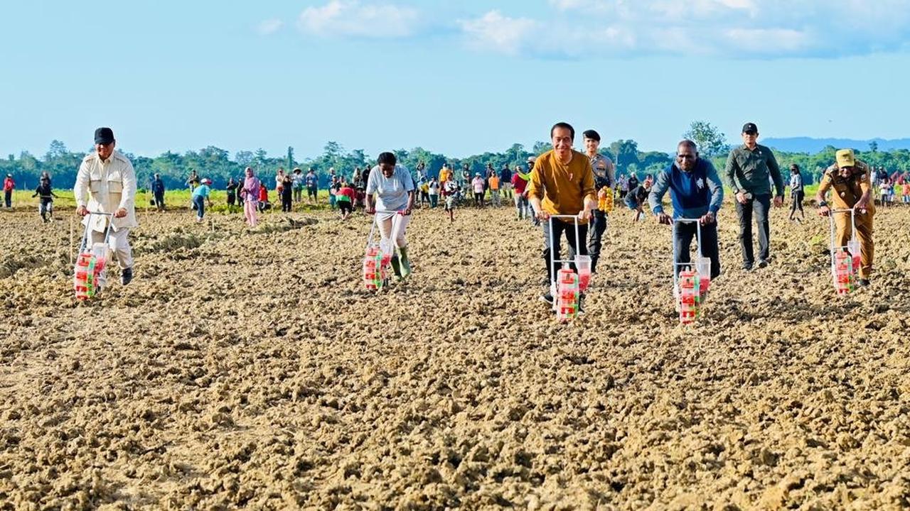 Presiden Jokowi ditemani Menteri Pertahanan Prabowo Subianto meninjau lumbung pangan atau food estate di Kabupaten Keerom, Provinsi Papua
