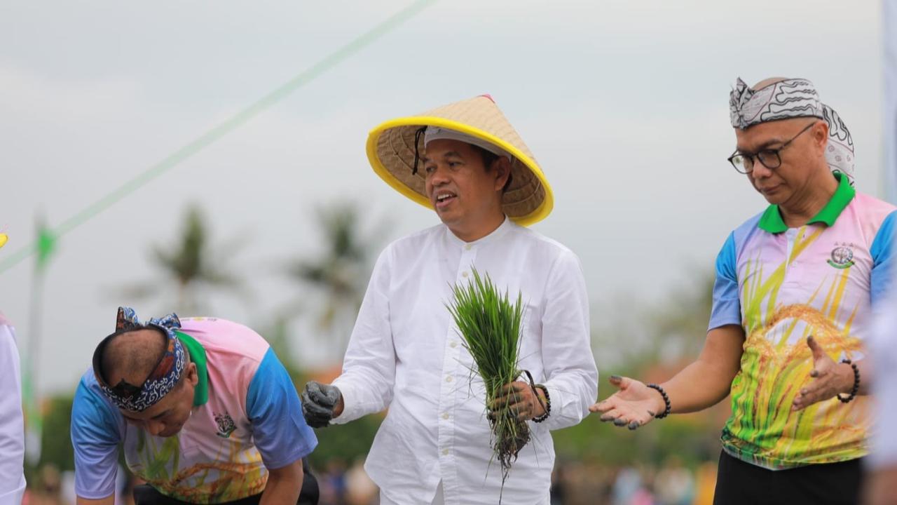 dedi mulyadi