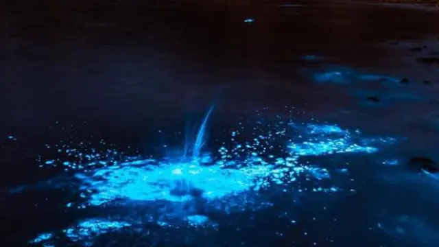 cahaya biru di pantai australia
