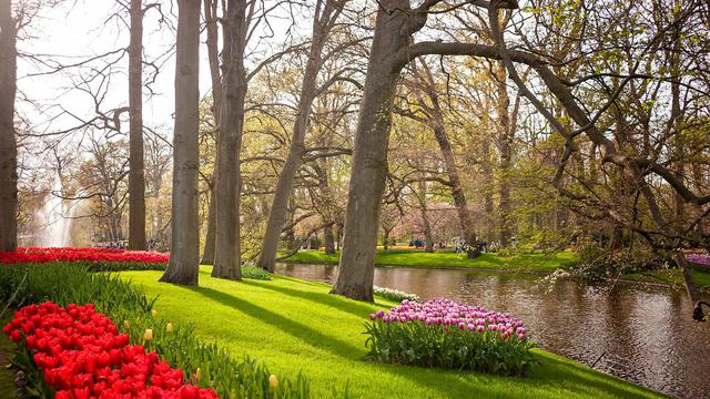 Keukenhof Gardens