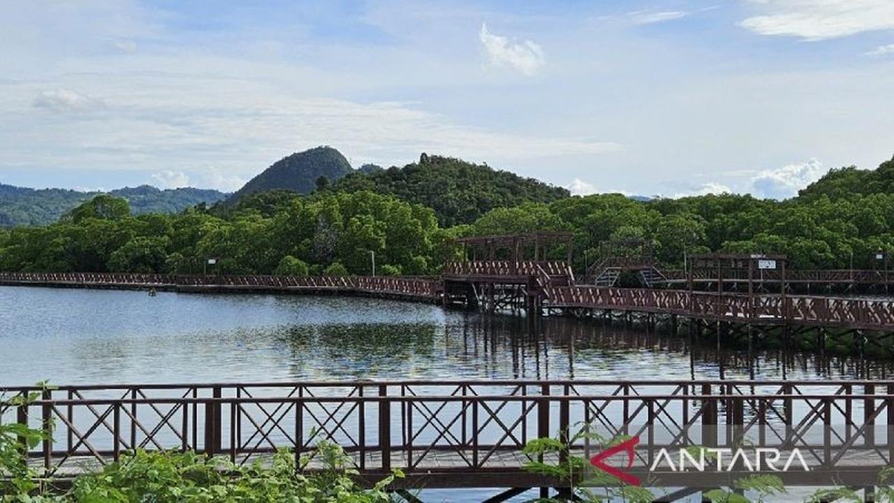 Fakta Unik: Hutan Papua Adalah 'Mama' Bagi Warga Lokal, Bagaimana Ekowisata Papua Mendorong Ekonomi Hijau?