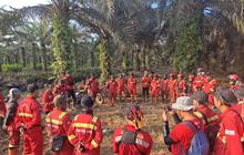 Strategi Efektif Manggala Agni dalam Penanganan Karhutla Riau: Hasil Signifikan Terlihat