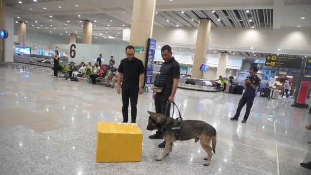 BNNP Bali saat melakukan pemeriksaan barang di Bandara I Gusti Ngurah Rai, Bali. (Liputan6.com/Destarita Rahmawati)