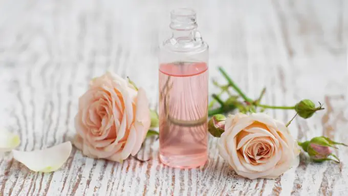 Copyright herbs.motherearthliving.com