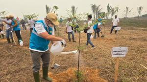 PLN IP Renewables Berperan Aktif Benahi Kawasan Pesisir PLTU Kalbar-1 di Bengkayang