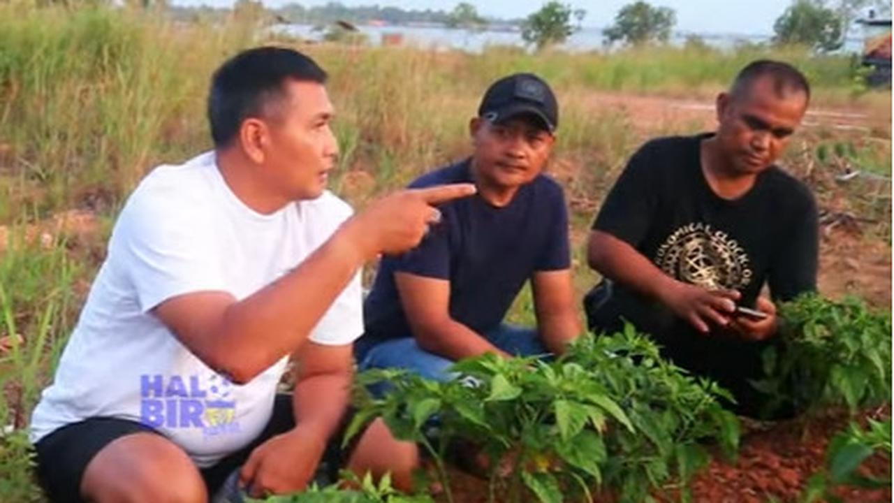 Letjen Kunto Arief Anak Jenderal Sepuh, Berkaos Oblong ke Ladang Bareng Petani lalu Ngopi Bareng
