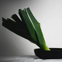 Ilustrasi/Copyright unsplash/nonamesontheway