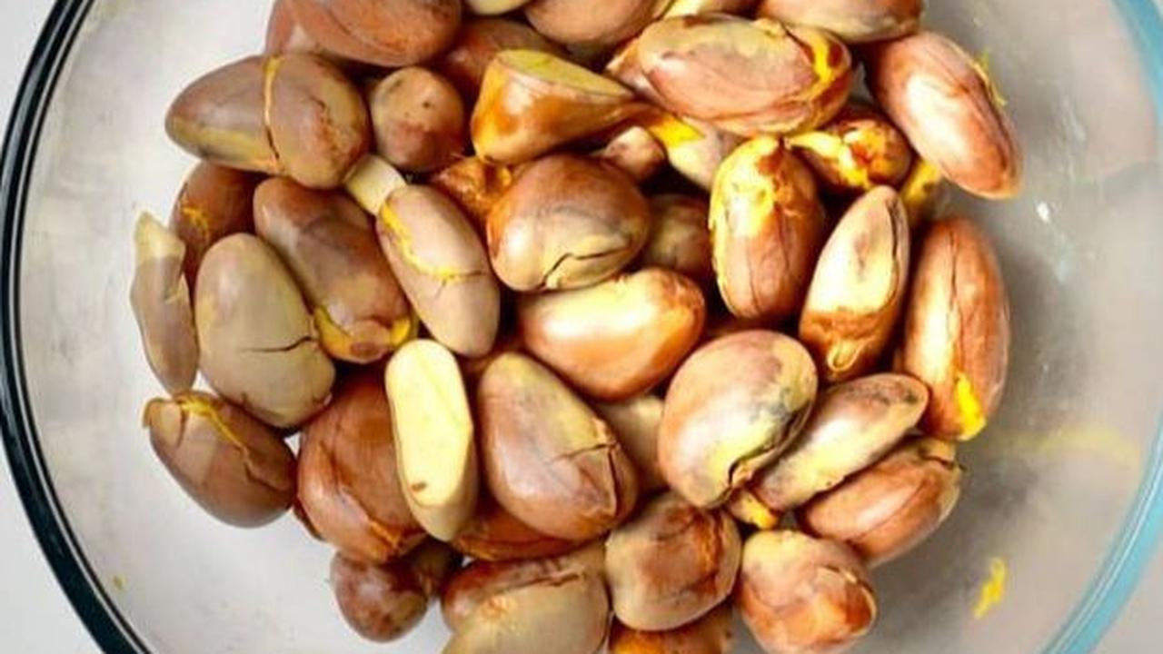 Sering Dibuang, Biji Nangka Ternyata Efektif untuk Tangkal Kolesterol Jahat