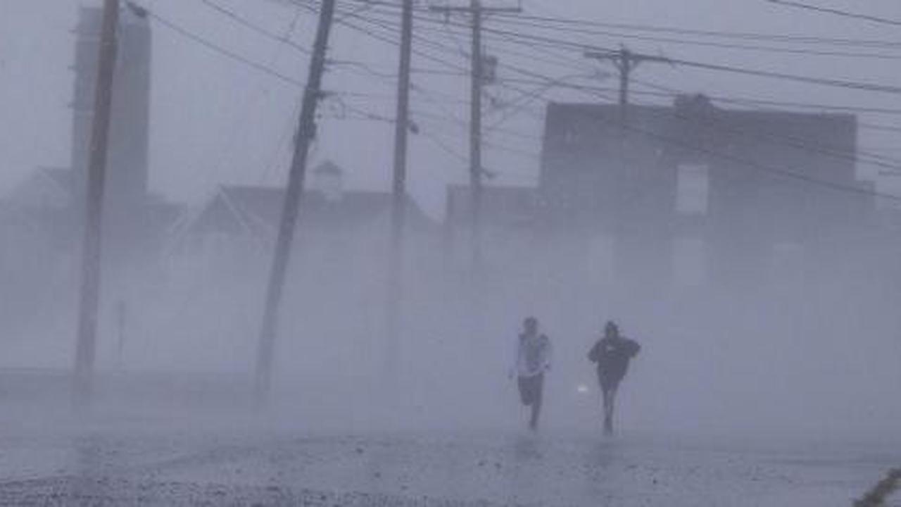 Video akar pohon tercabut oleh badai Sandy