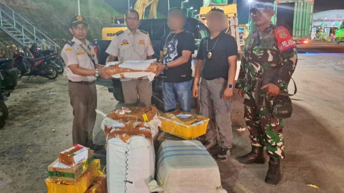 TNI AL Gagalkan Penyelundupan 445 Lembar Kulit Piton dan 32 Kura-Kura