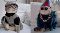 Kenalkan Benson, Kucing Jalanan yang Berubah Jadi Super Stylish