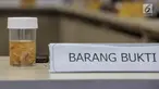 Barang bukti benih lobster yang diselundupkan saat ditunjukkan dalam acara rilis Kementerian Kelautan dan Perikanan (KKP) bersama Kepolisian RI di Gedung Kementerian Kelautan dan Perikanan, Jakarta, Senin (9/10). (Liputan6.com/Faizal Fanani)