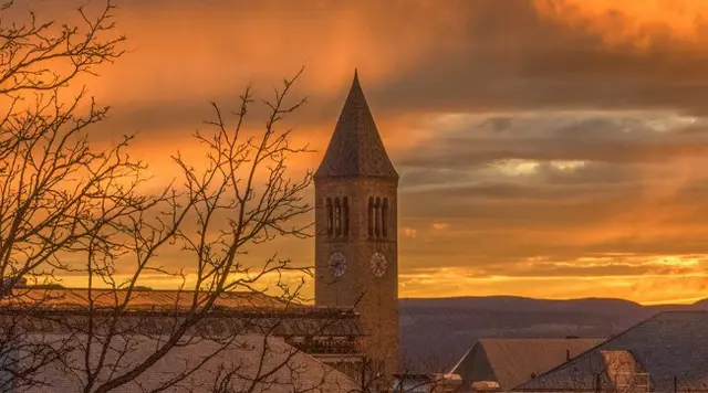 Kronologi 7 Pria Diduga Perkosa Mahasiswi di Cornell University