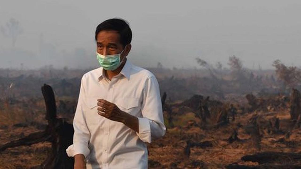 Serius tangani kabut asap, Jokowi dijadwalkan terbang ke Riau besok