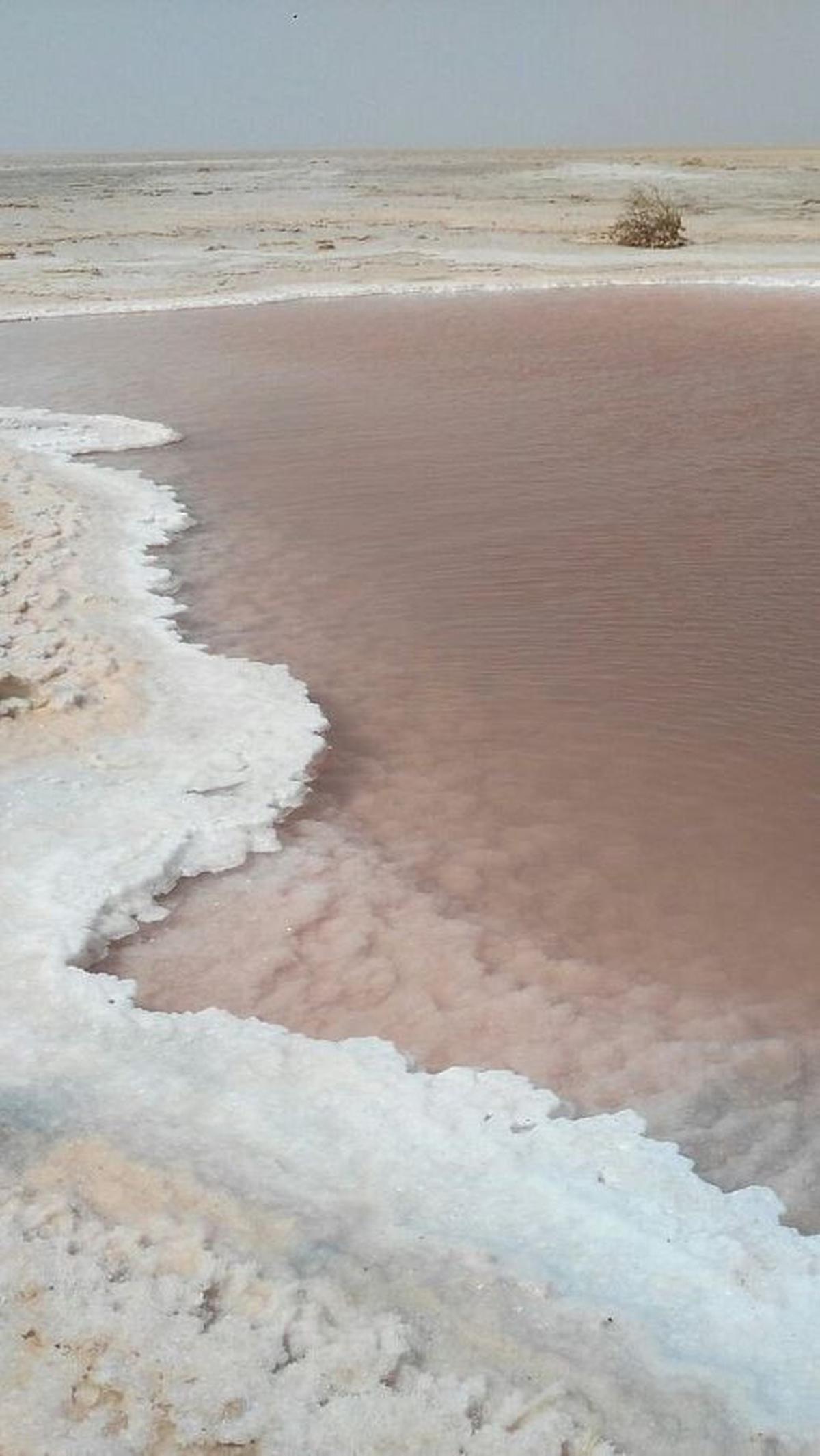 Chott el Djerid atau Danau Garam