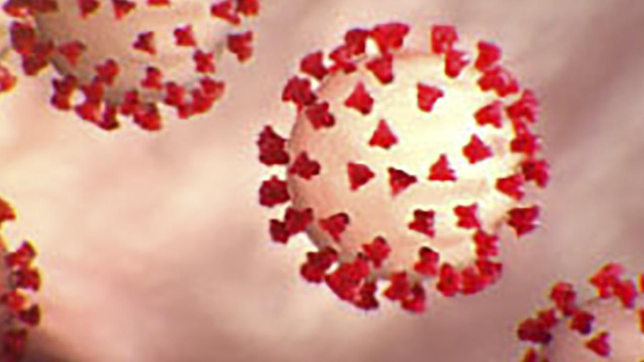 Gambar ilustrasi Virus Corona COVID-19 ini diperoleh pada 27 Februari 2020 dengan izin dari Centers For Desease Control And Prevention (CDC). (AFP)