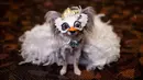 Seekor anjing mengenakan topeng dan kostum untuk New York Pet Fashion Show ke-17 di New York City, Kamis (6/2/2020). Acara ini menampilkan pertunjukan anjing yang berjalan di catwalk dengan kostum yang unik. (Photo by Johannes EISELE / AFP)
