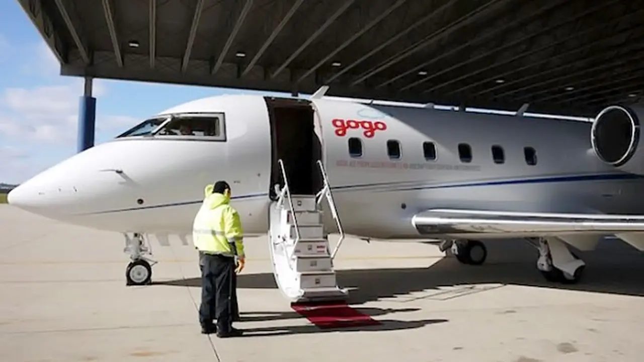 gogo-131109b.jpg