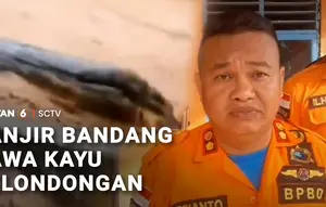 Lagi! Banjir Bandang di Sumut Bawa Kayu Gelondongan