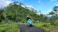 Yamaha Fazzio melibas jalur perbukitan di kawasan Kebun Teh Nglinggo. (ist)