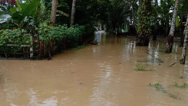 Terendam Banjir