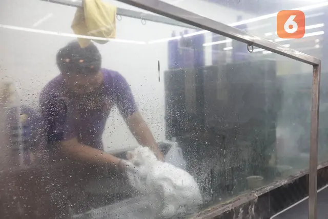 Dari Cukur Bulu hingga Mandi Mengintip Cuan Bisnis Pet Shop