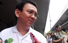 Politikus PDIP sebut Ahok prematur usul IPDN dibubarkan