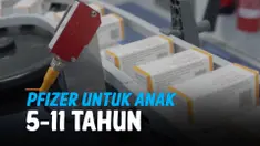 pfizer anak