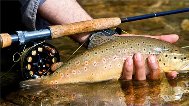 Courtesy ListVerse.com