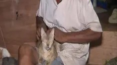 liputan6