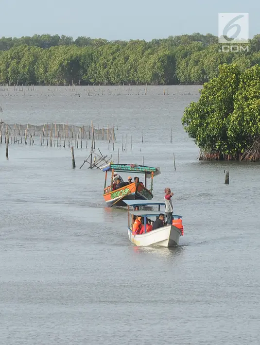 Perahu wisata melintasi kawasan hutan mangrove di Wisata Mangrove, Tarumajaya, Bekasi, Minggu (30/12). Wisata yang berbatasan dengan kawasan Marunda Jakarta Utara menyajikan keindahan hutan mangrove. (merdeka.com/Arie Basuki)