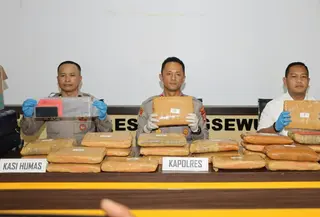 24 kilogram ganja dari Sumatera Utara ke Lampung berhasil digagalkan polisi. (Liputan6.com/Istimewa).