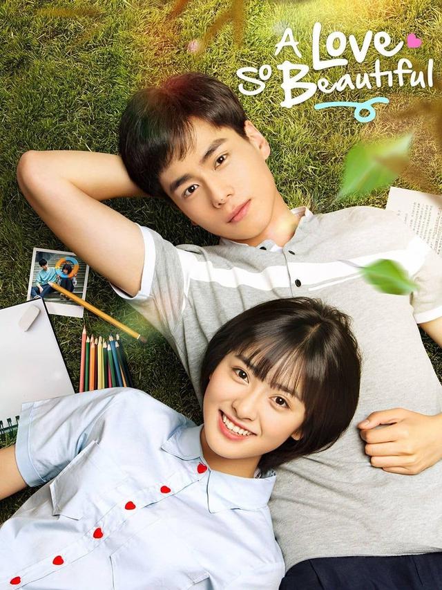 A Love So Beautiful (2017)