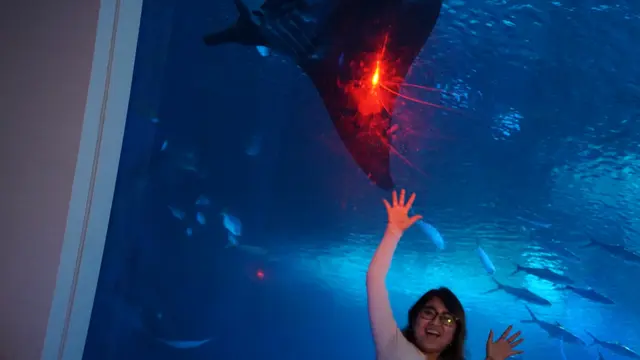 S.E.A Aquarium