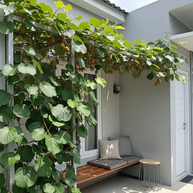 9 Model Teras Rumah dengan Pohon Buah Merambat di Tembok, Solusi Hijau Estetis