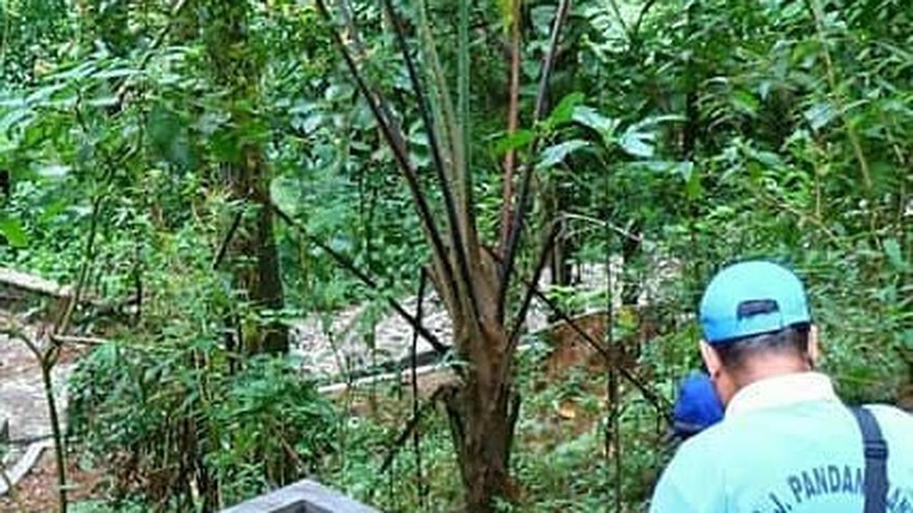 Taman Wisata Kopeng<br>