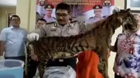 Seorang polisi di Kalimantan Barat diduga membunuh 2 anak kandungnya, hingga Polda Sumatera Selatan menangkap seorang pemilik kulit harimau.